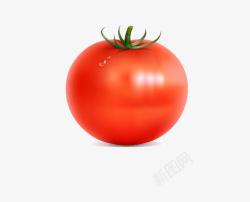 单个西红柿矢量图素材