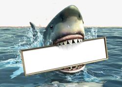在水面的空白板鲨鱼素材