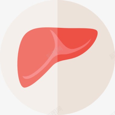 烧鹅肝肝图标图标