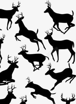 黑白的鹿鹿高清图片