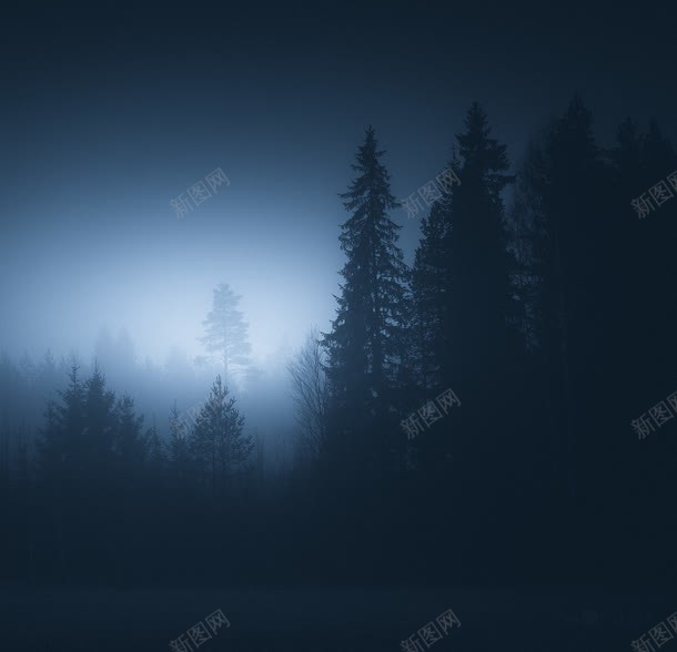 夜下的迷雾松树林海报背景jpg设计背景_88icon https://88icon.com 松树 海报 背景 迷雾