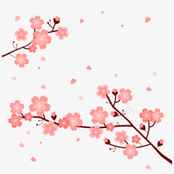 花芯花蕊樱花桃花浪漫高清图片