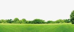 绿草坪背景绿色草原树丛装饰边框纹理高清图片