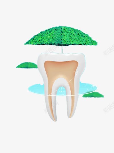 牙齿png免抠素材_88icon https://88icon.com 保护牙齿 健康生活 口腔 口腔医院宣传 爱护牙齿 牙医 牙科医生 牙齿 绿伞 绿叶