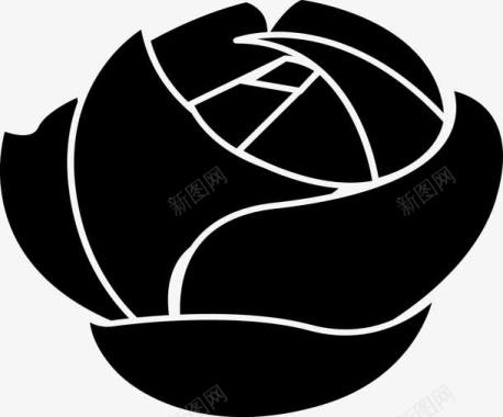 线描边线待盛放的玫瑰花朵图标图标