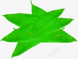 端午粽动员绿色芦苇叶子素材