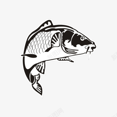 鲤鱼黑白插画图标图标