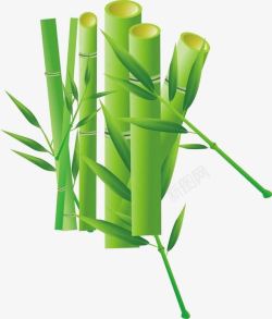 竹叶图标素描手绘竹子精美竹子图标高清图片