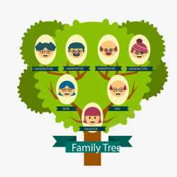 家谱族谱一棵嫩绿色的家族树矢量图高清图片