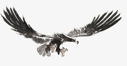 水墨鹰展翅高飞的海雕国画高清图片