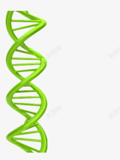 DNA链png免抠素材_88icon https://88icon.com DNA DNA双螺旋结构图片 医学 基因链 绿色