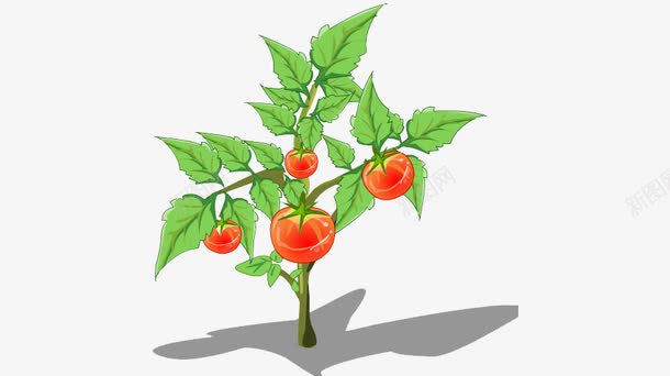 卡通番茄树png免抠素材_88icon https://88icon.com 卡通 无公害 植物 番茄树 纯天然 绿色 蔬菜类