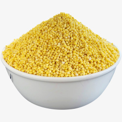 一碗金黄的新鲜有机小米实物素材