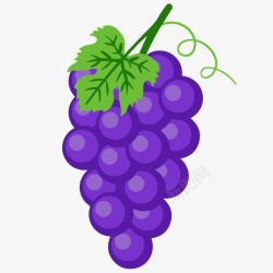 一串手绘的紫色葡萄矢量图素材