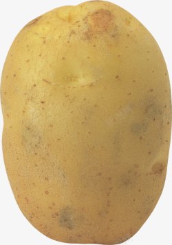 主粮黄色马铃薯高清图片