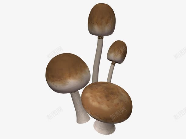 好大的蘑菇伞png免抠素材_88icon https://88icon.com 菇类 菌菇 蘑菇 金针菇 香菇