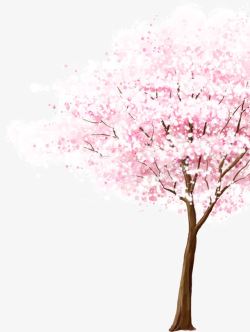 一棵浪漫的樱花树素材