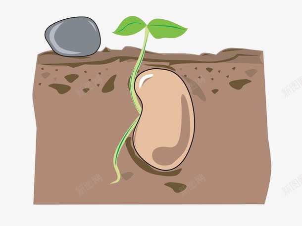 手绘土壤里的种子png免抠素材_88icon https://88icon.com 叶子 土块 土堆 土壤 手绘 植物 石块 种子