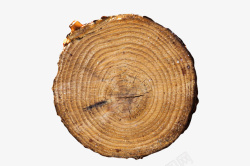 深棕色粗糙木头截面实物素材