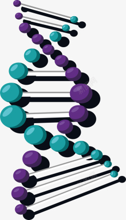 紫色绿色双螺旋矢量图素材
