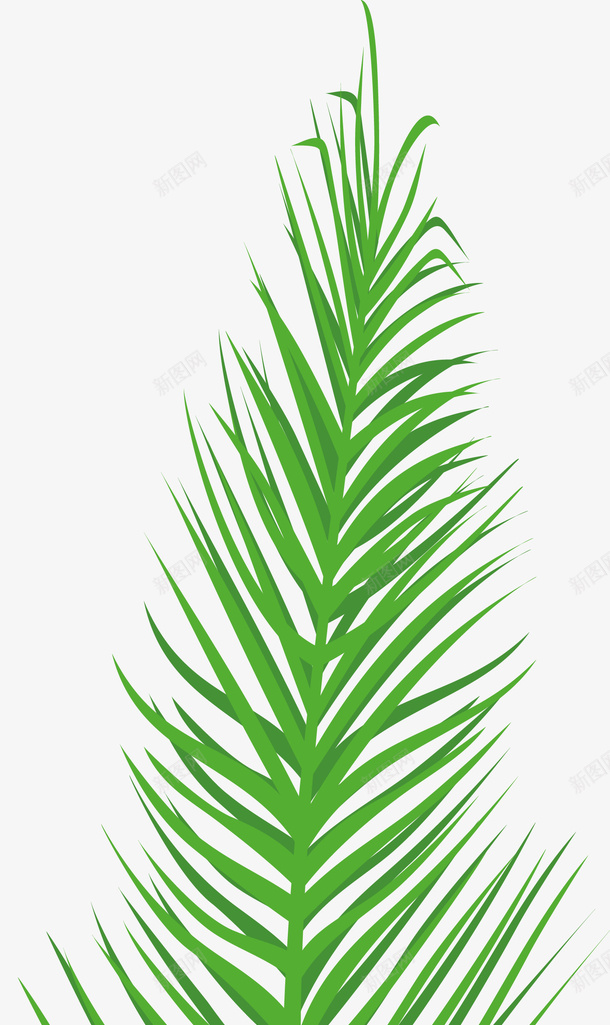 绿色植物棕榈叶png免抠素材_88icon https://88icon.com 夏天 异国情调 手绘 树叶 树木 棕榈叶 棕榈树 植物 热带 热带棕榈芭蕉叶 热带植物 环境 绘画 自然