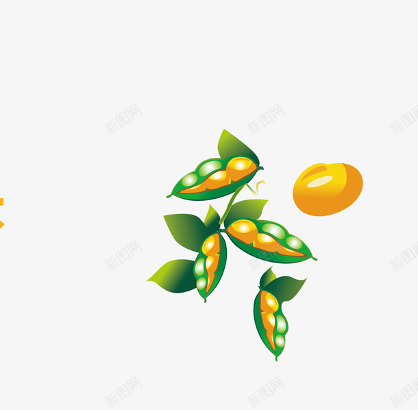 卡通大豆和豆荚简图png免抠素材_88icon https://88icon.com 大豆 庄稼 手绘图 粮食 豆子 豆荚 食物 黄豆 黄豆荚