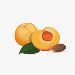 切开果肉椰子美味的杏子卡通图高清图片