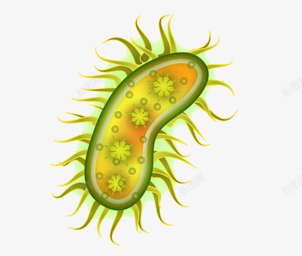 细菌模型png免抠素材_88icon https://88icon.com 医学研究 微生物 感染 病毒 病菌 科研