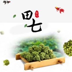 田七中草药素材