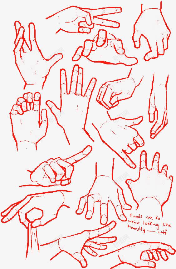 各种手势的手png免抠素材_88icon https://88icon.com 局部速写 样式 红色 线描