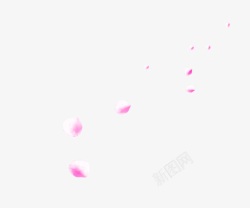 散落飘飞的粉色花瓣素材