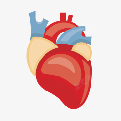 卡通手绘医学心脏模型图矢量图素材