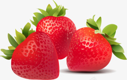 三个红色草莓矢量图素材