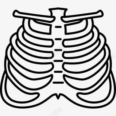 人的骨头人的肋骨图标图标