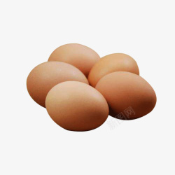 高营养价值野生洋鸡蛋素材