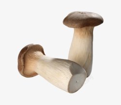 新鲜的蘑菇片素材