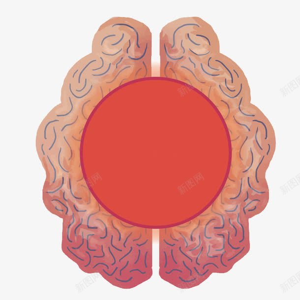 红色大脑png免抠素材_88icon https://88icon.com 圆形 大脑 手绘 现状 红色 纹理 质感