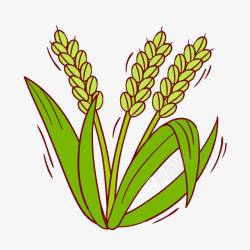 绿色粮食水稻高清图片