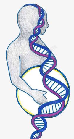 手绘人体DNA基因链图形素材