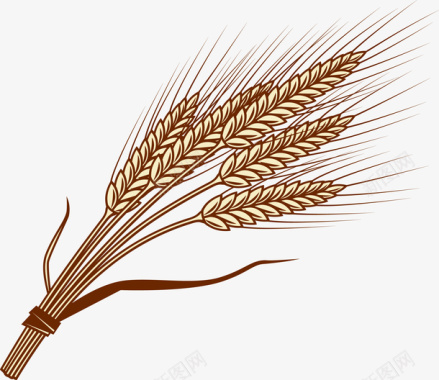 png图片素材谷物麦子创意图标图标