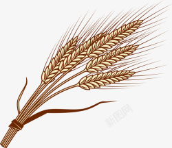 稻田logo谷物麦子创意图标高清图片
