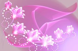 紫色心形钻石美丽的花高清图片