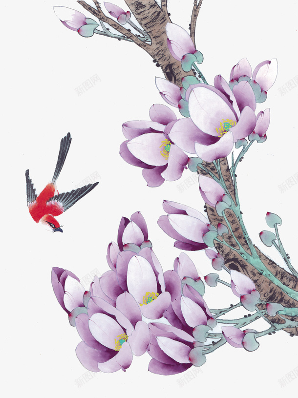 飞翔的喜鹊png免抠素材_88icon https://88icon.com 喜雀 树枝 紫色的花朵 红色 翱翔的喜鹊 花朵 飞翔的喜鹊