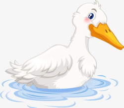 鸭先知鸭子游泳白鸭矢量图高清图片