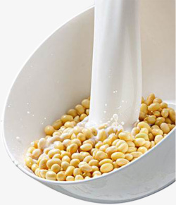 牛奶泡黄豆营养健康素材