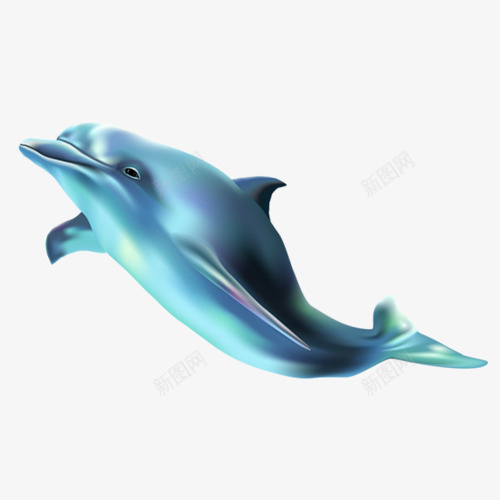 海豚兰可爱动物png免抠素材_88icon https://88icon.com 兰 动物 可爱 海豚 海豚logo