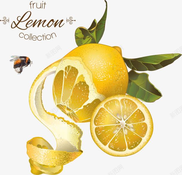 复古橙子柠檬蜂蜜背景png免抠素材_88icon https://88icon.com 山楂 柠檬 橙子 水果 水果店海报 维生素 蜂蜜