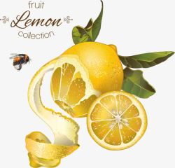 复古橙子柠檬蜂蜜背景素材