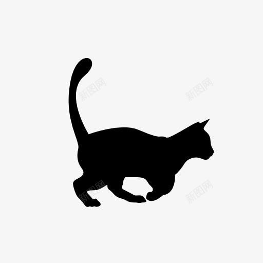 猫剪影png免抠素材_88icon https://88icon.com 动物 投影 陆地动物 黑色剪影