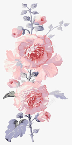 粉色美丽花朵素材